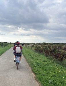 Activité Charente Express à vélo sur l'île de Ré lors d’un team building organisé par RoseD’Events.