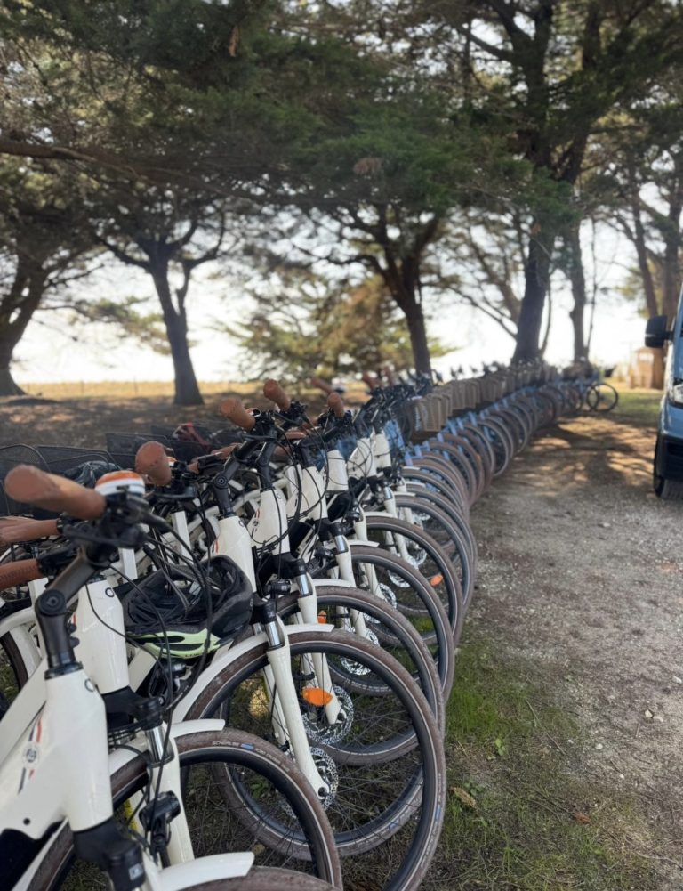 Vélos alignés prêts pour le départ d'un team building organisé sur l'Île de Ré par RoseD'Events.