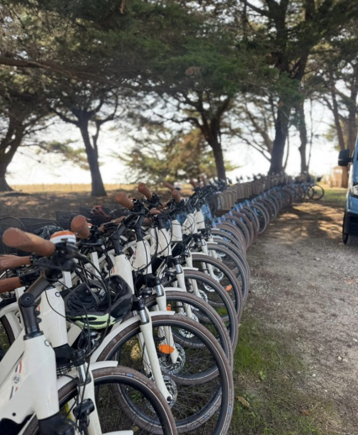 Organiser un séminaire à La Rochelle : 8 bonnes raisons de faire appel à une agence événementielle locale