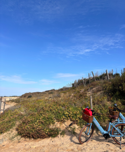 Et si votre prochain séminaire se faisait en bord de mer ? Zoom sur La Rochelle et l&rsquo;Île de Ré